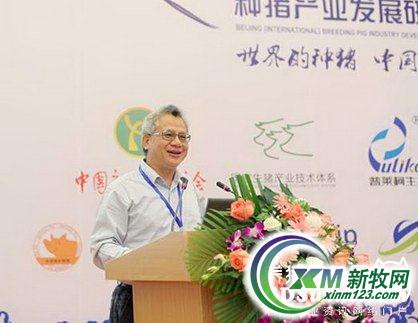 中国种猪产业正待崛起