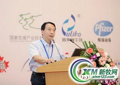 中国种猪产业正待崛起